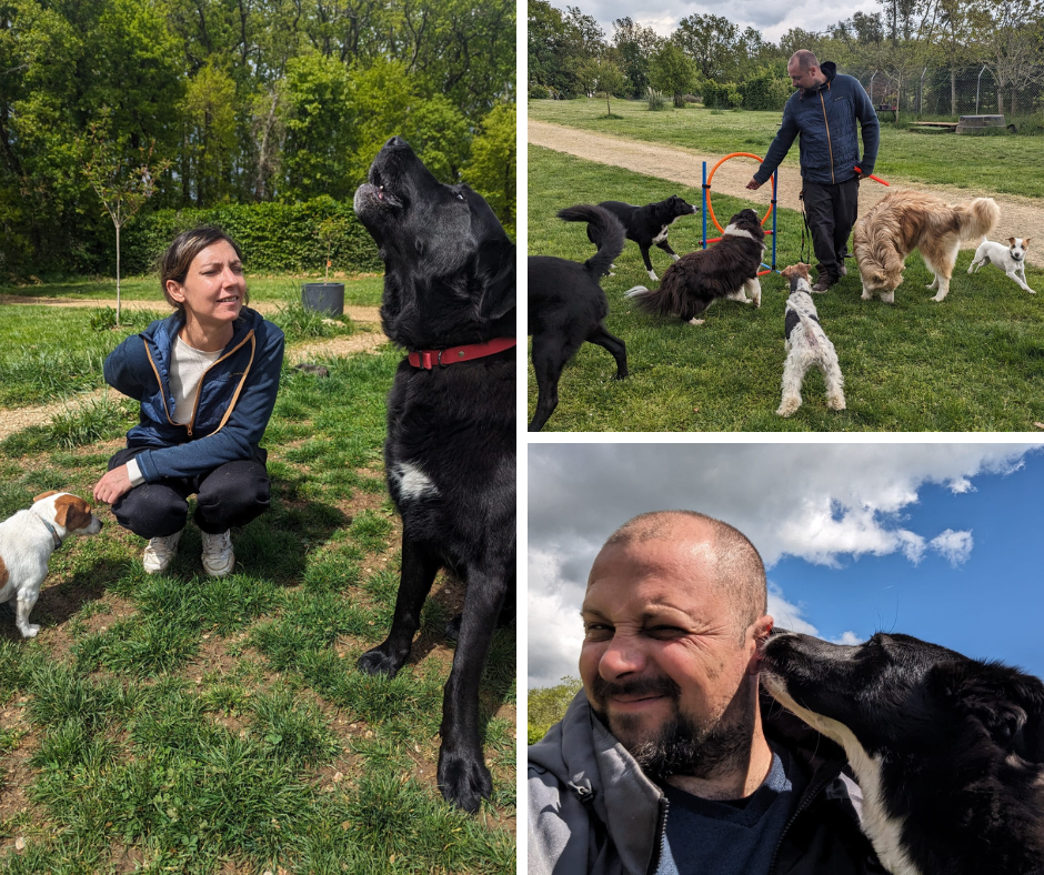 Chienotel - Pension pour Chien, Chat, Lapin & NAC — photo