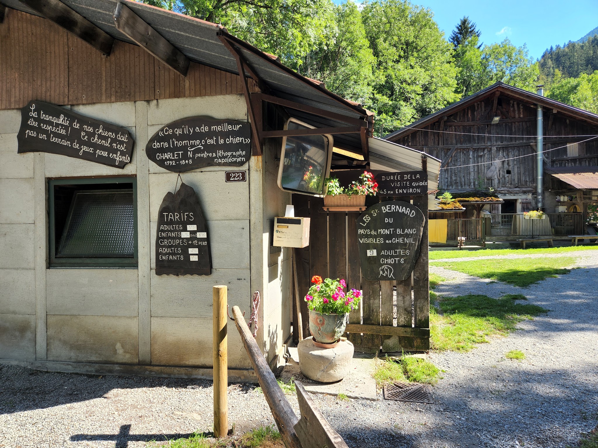 PENSION CANINE TOUTES RACES - Elevage de Saint-Bernard et Bull Terrier du Pays du Mont-Blanc - — photo