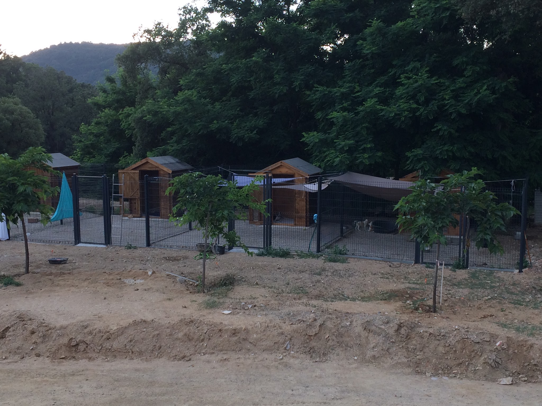 pension canine du rigaou — photo