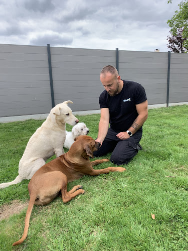 Unicadog, éducateur comportementaliste canin à Nantes et Loire Atlantique, 44