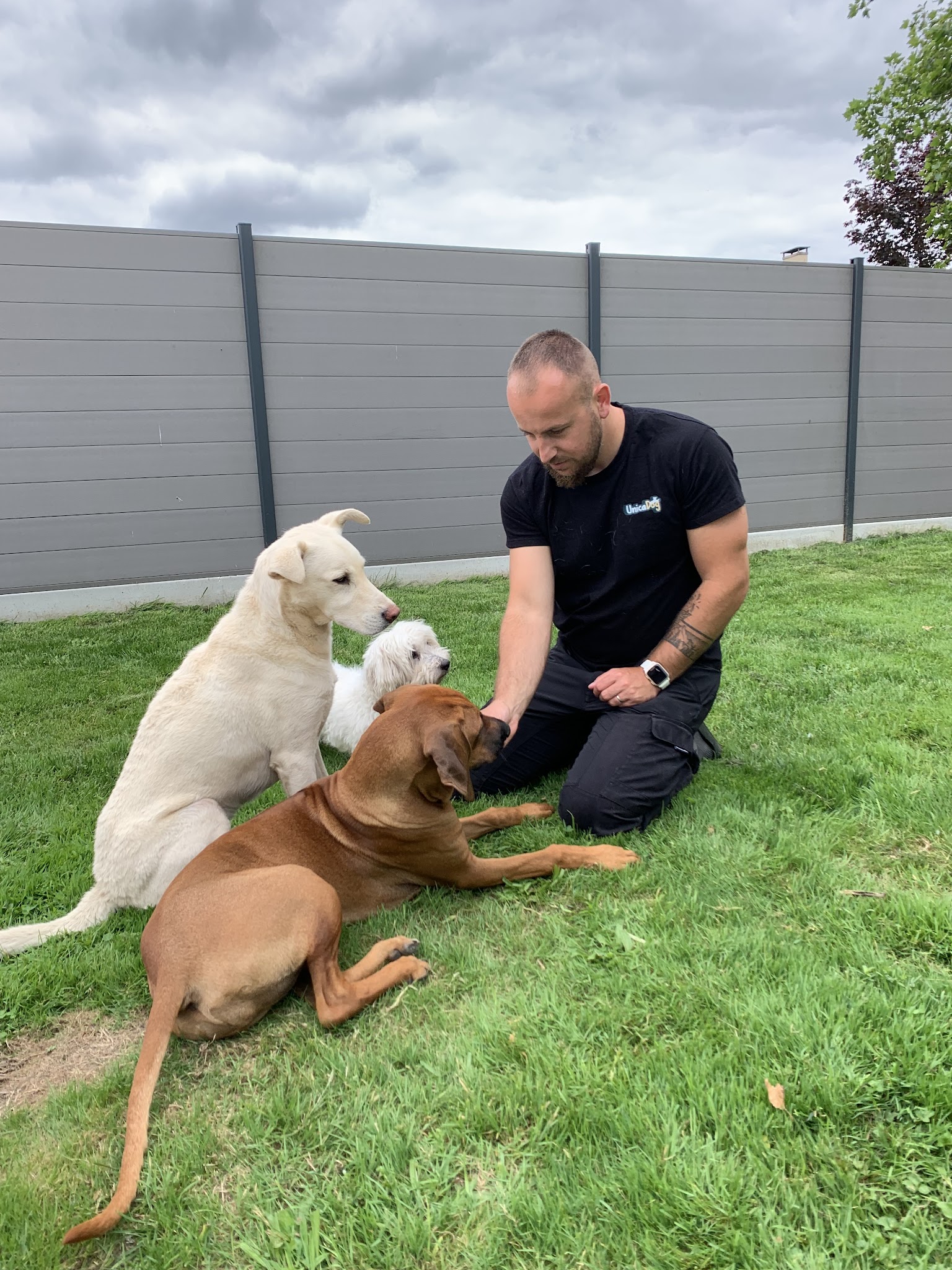 Unicadog, éducateur comportementaliste canin à Nantes et Loire Atlantique, 44 — photo