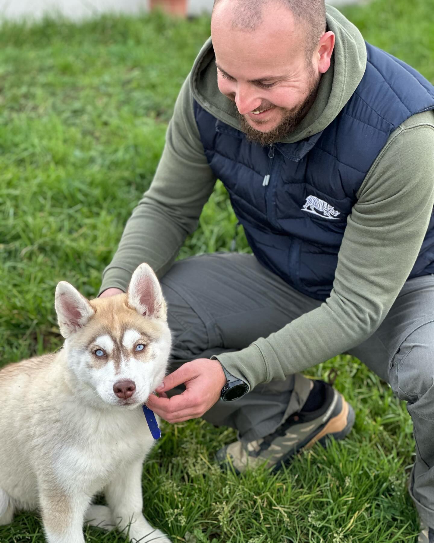 Unicadog, éducateur comportementaliste canin à Nantes et Loire Atlantique, 44 — photo