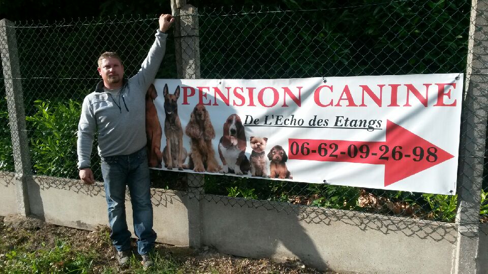 Pension Canine et Elevage de Springer Spaniel de l'Echo des Etangs 44 — photo