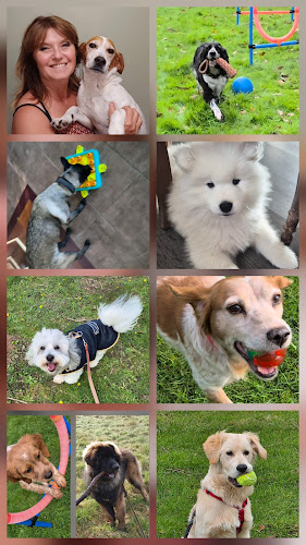 Les Papouilles - pet sitter certifiée et labellisée