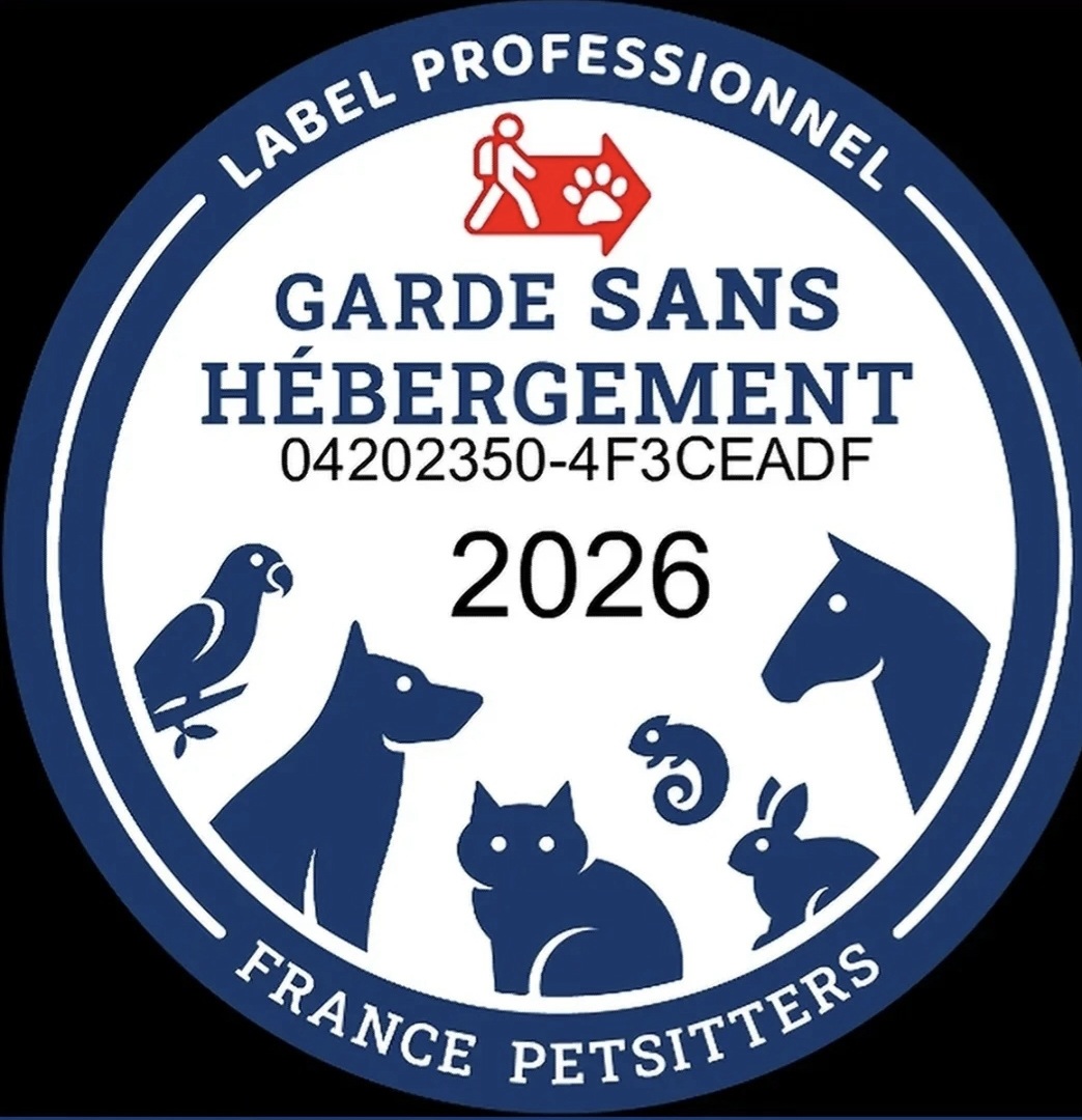 Les Papouilles - pet sitter certifiée et labellisée — photo