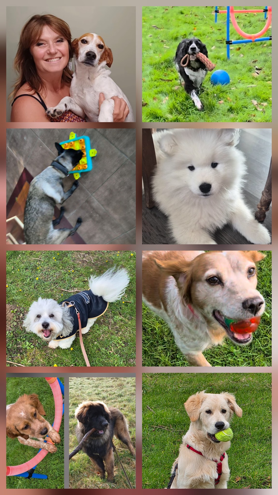 Les Papouilles - pet sitter certifiée et labellisée — photo
