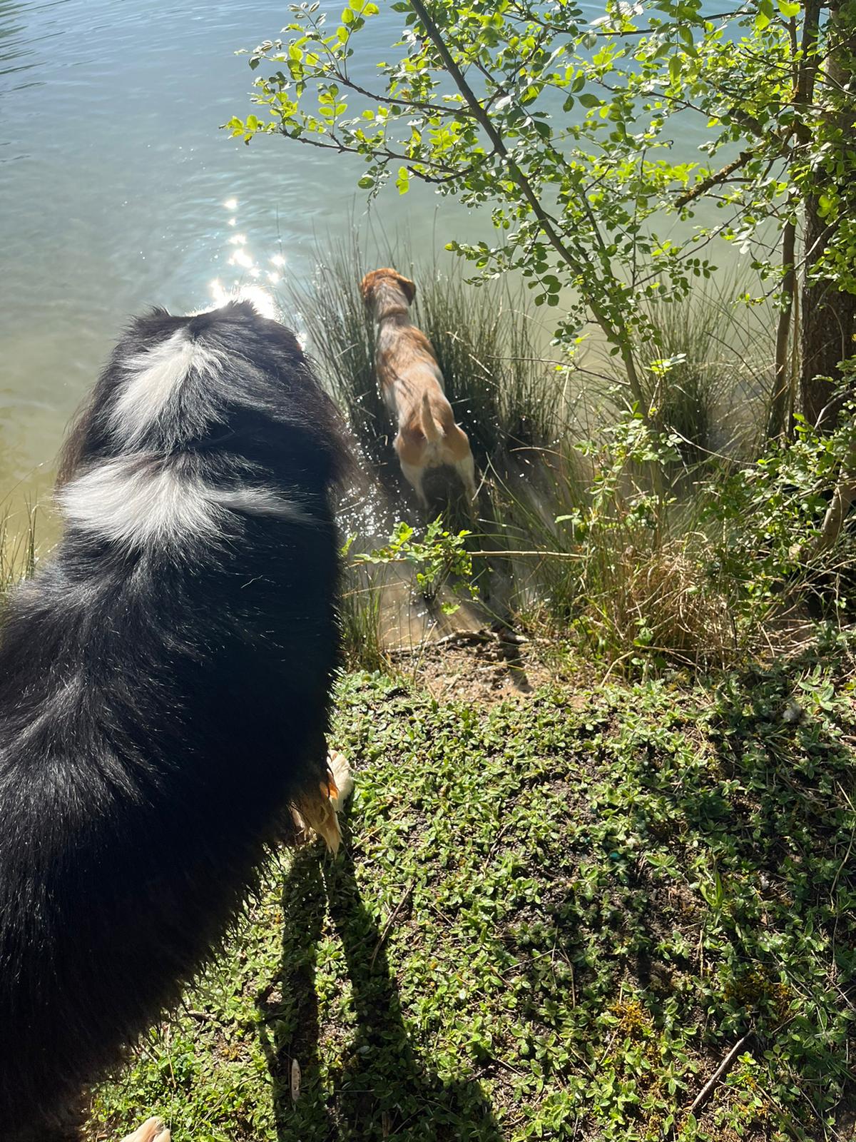 Au mus’ô dans l’eau — photo