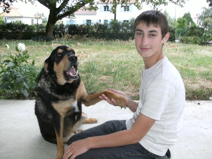 Pension canine en famille (44) — photo