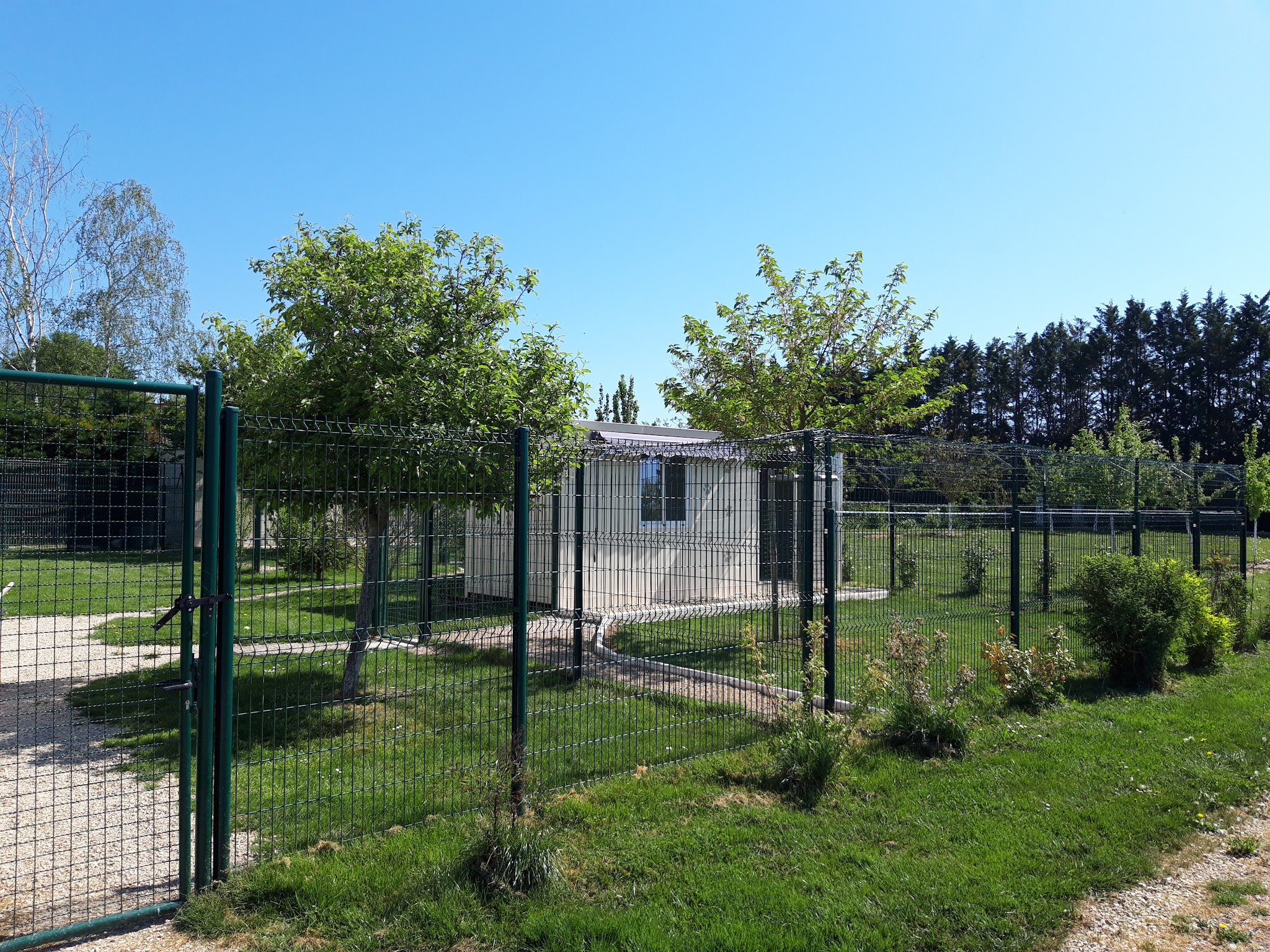 Pension chiens "Au Chemin des 4 Pattes" en Côte d'Or 21