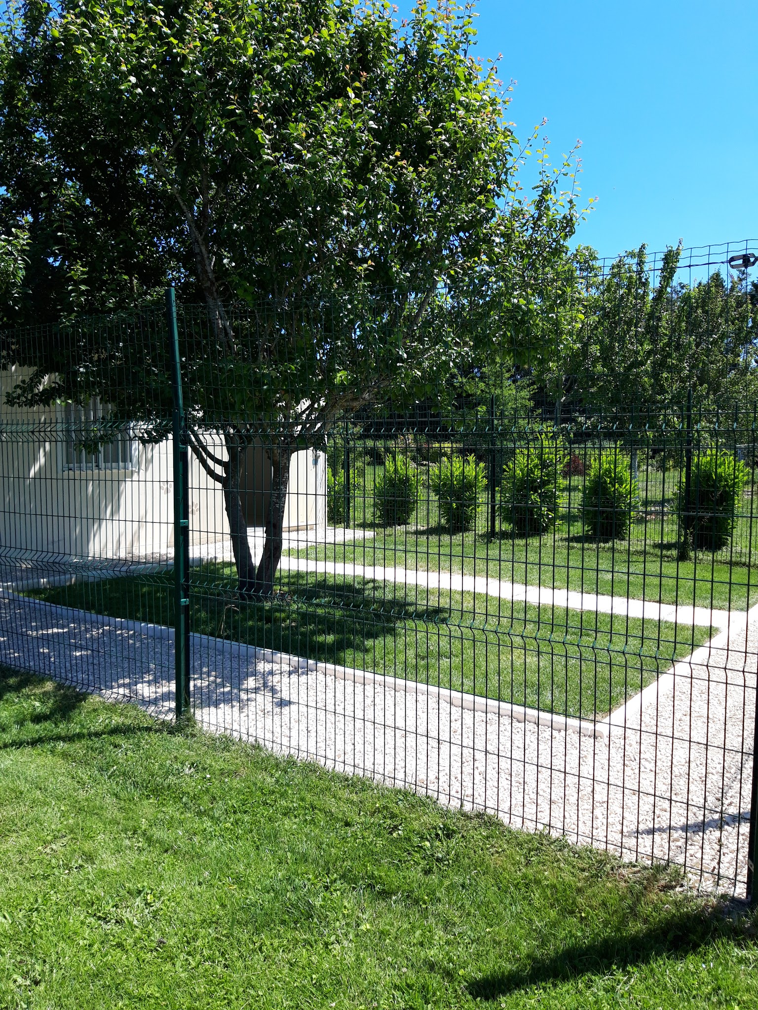 Pension chiens "Au Chemin des 4 Pattes" en Côte d'Or 21 — photo