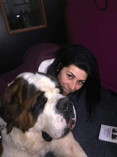 Pension Canine Familiale du Repenti