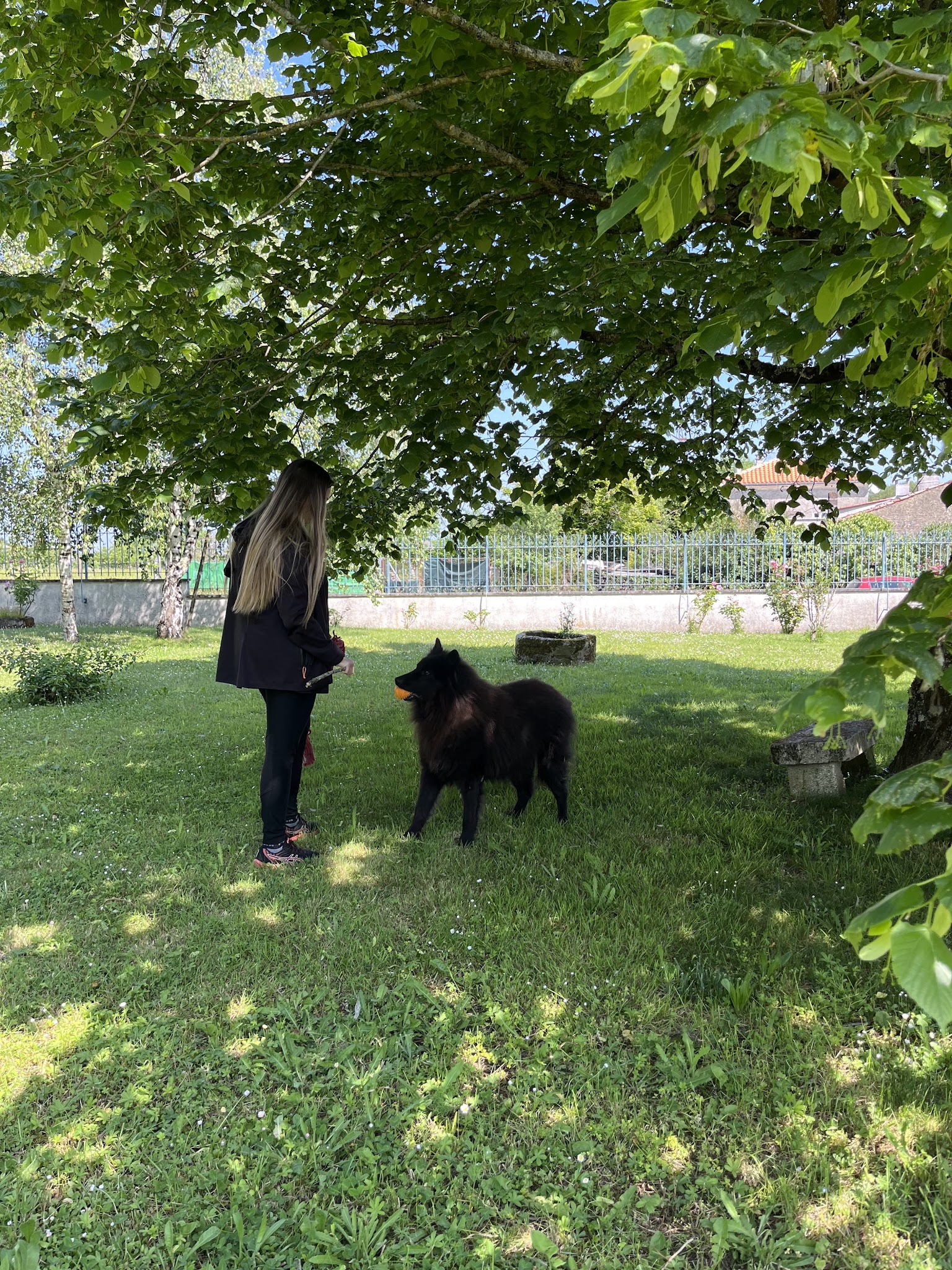 Chouchou et Compagnie — photo