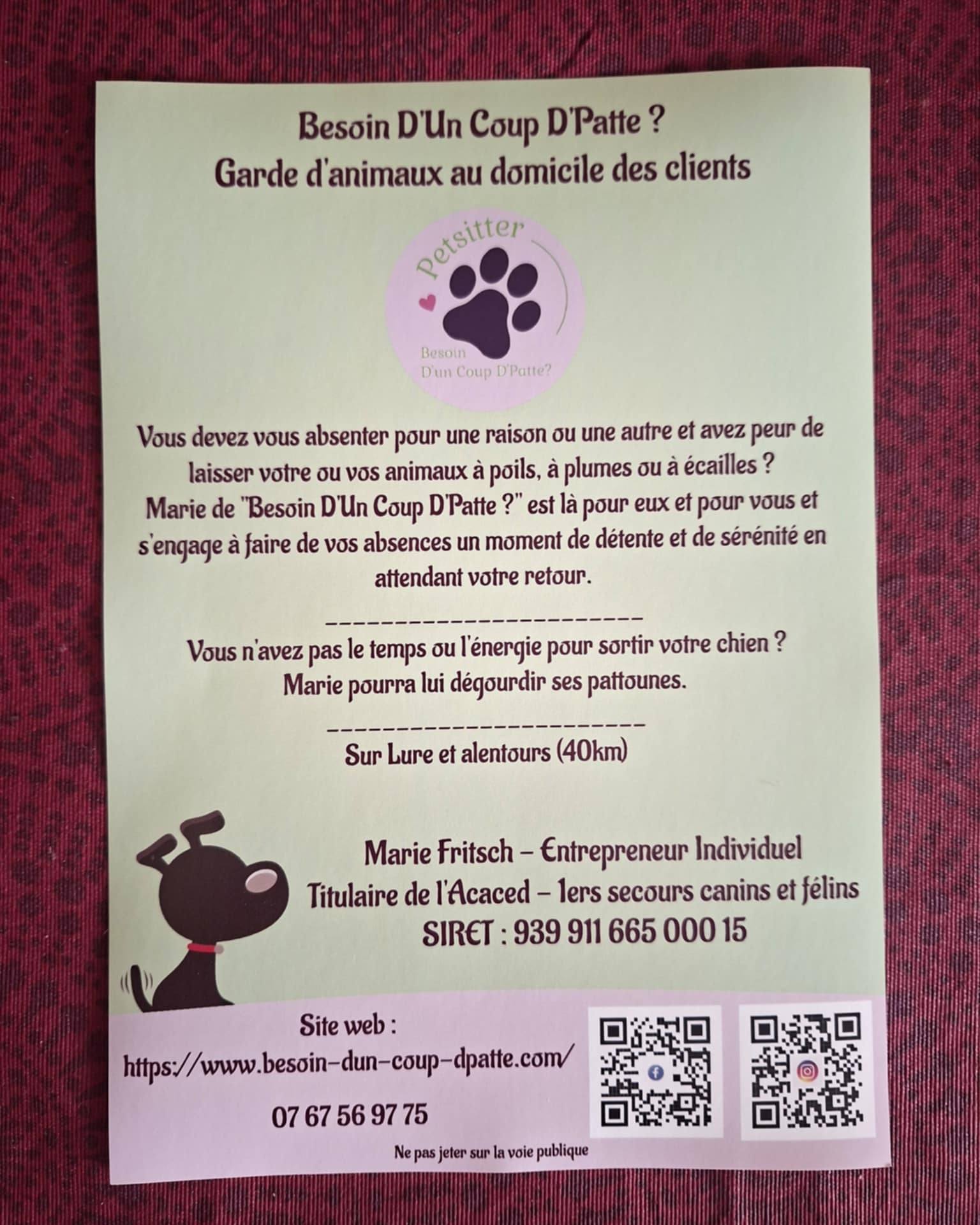 Besoin D'Un Coup D'Patte ?