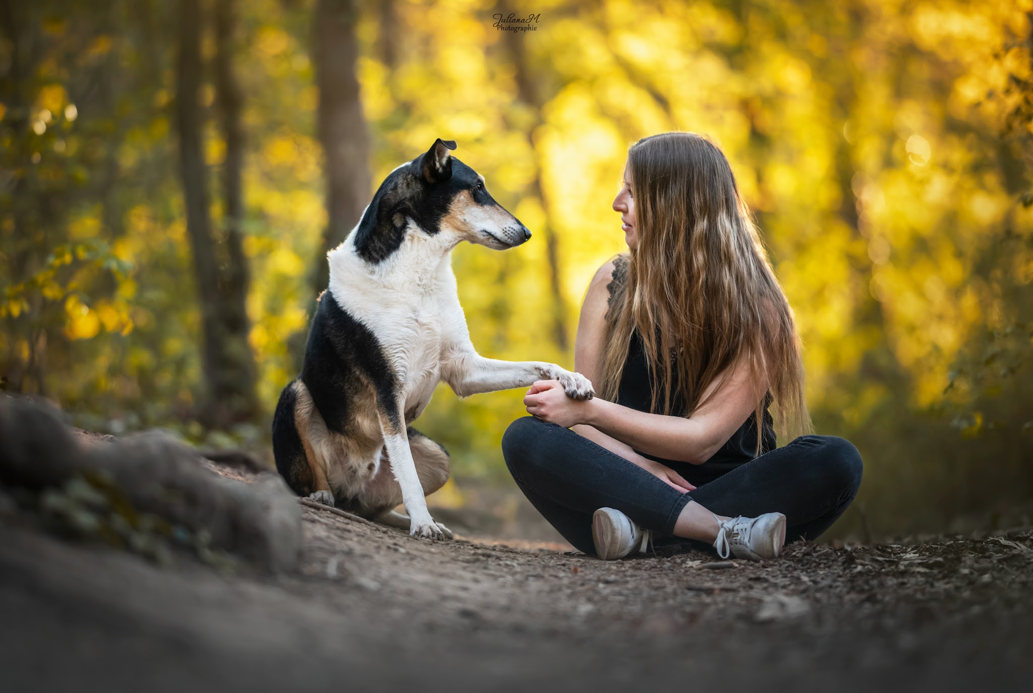 Signaux Canins Education canine