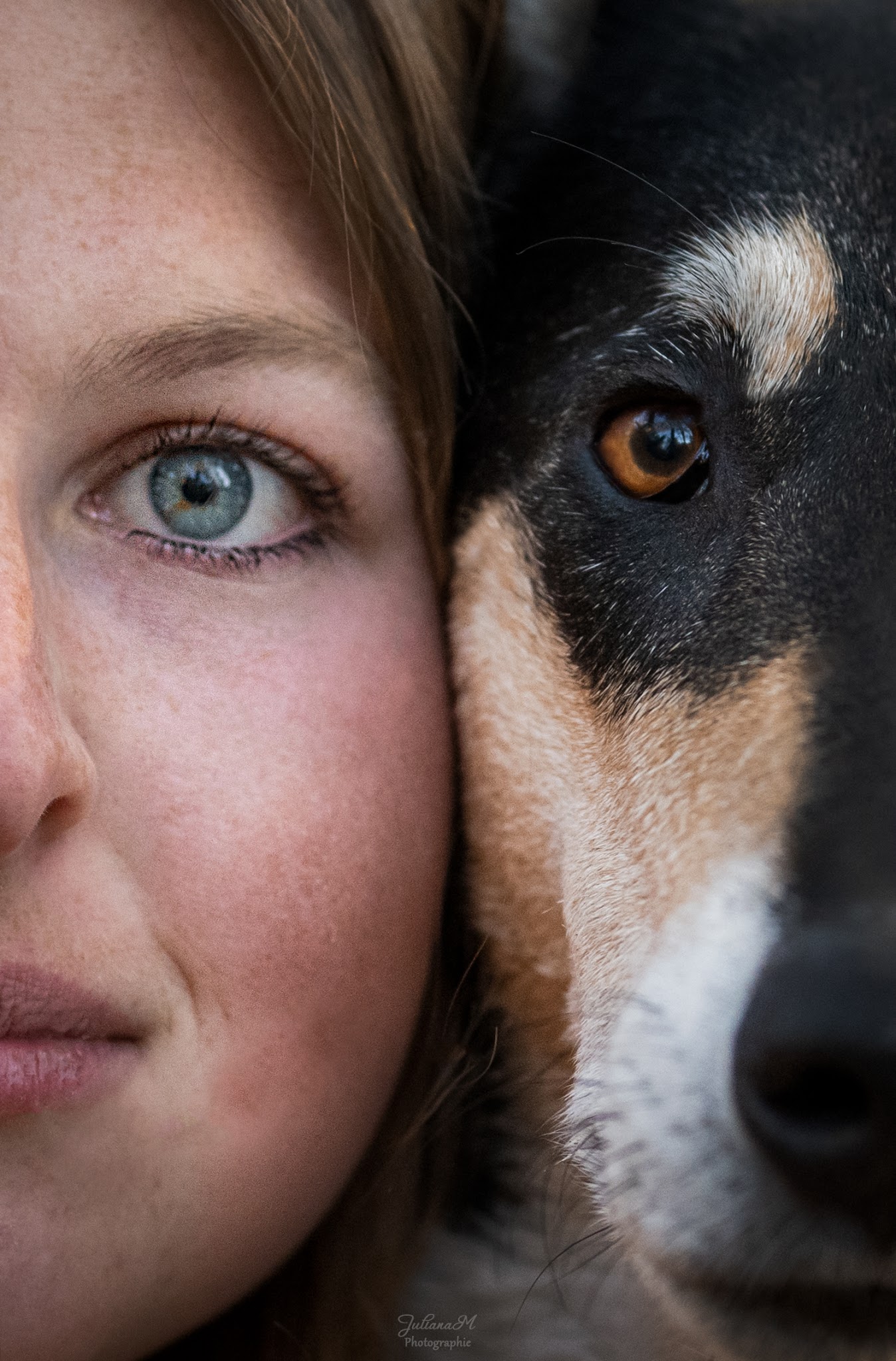Signaux Canins Education canine — photo