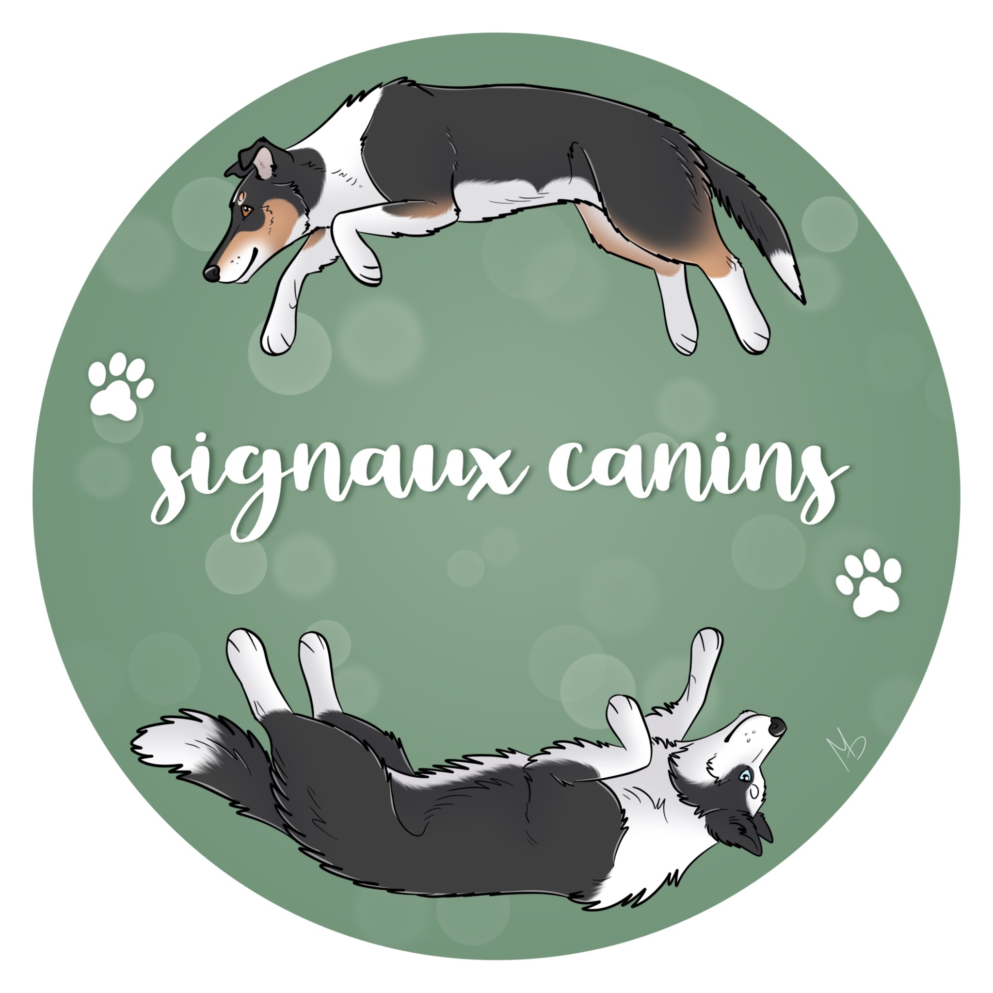 Signaux Canins Education canine — photo