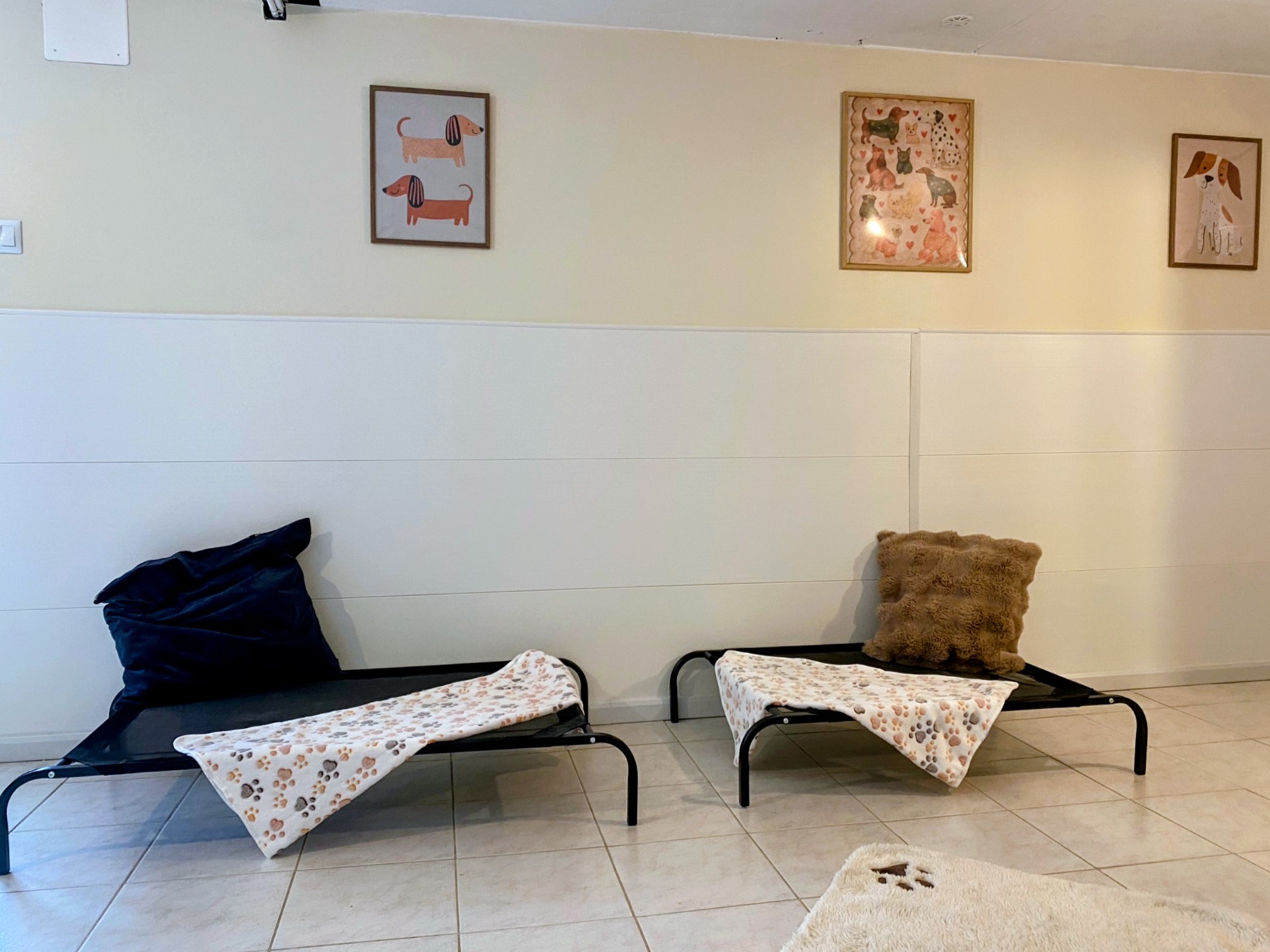 Les poilus en vacances — photo
