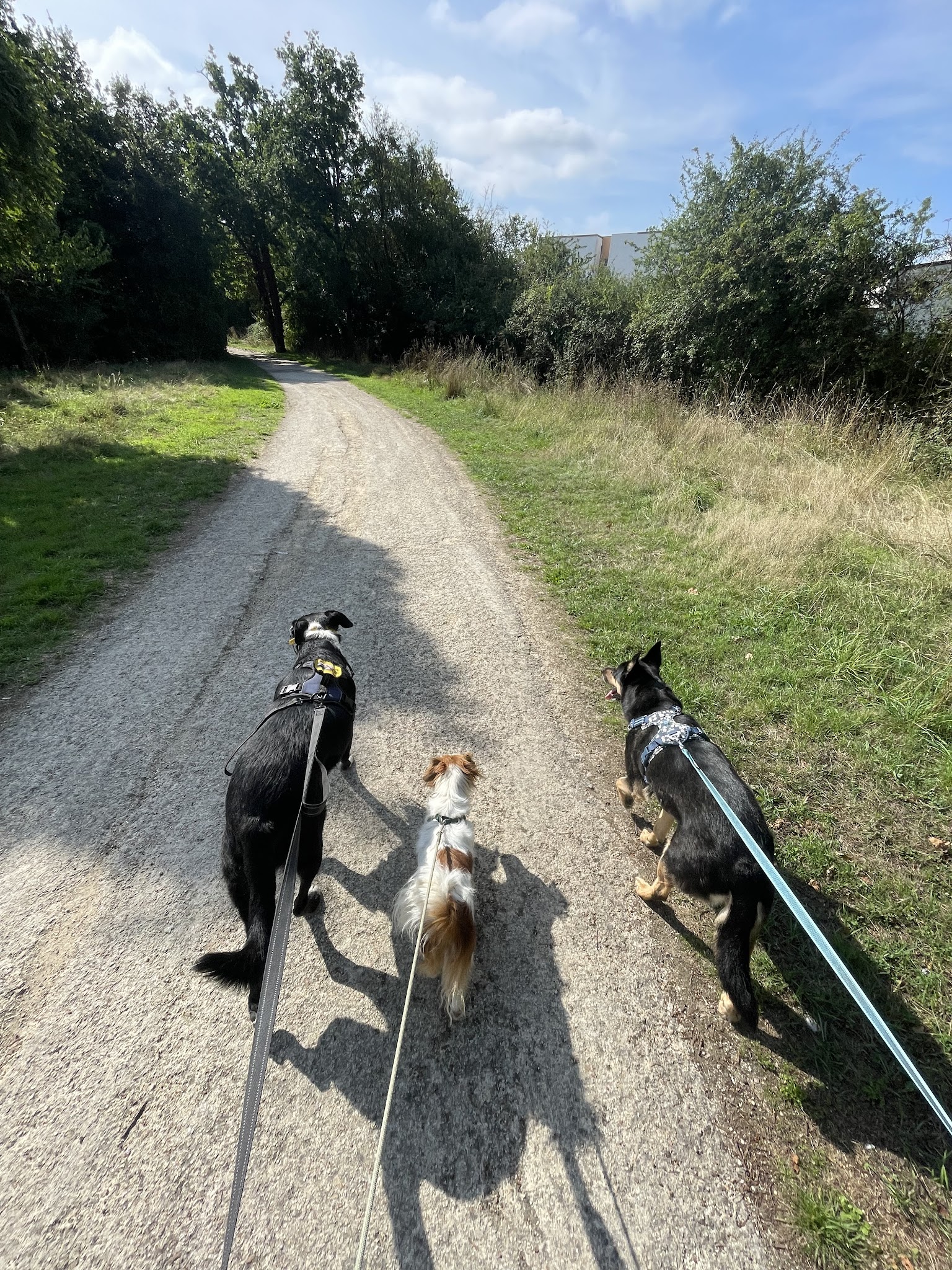 L'arche de Maïka | Petsitting professionnel — photo