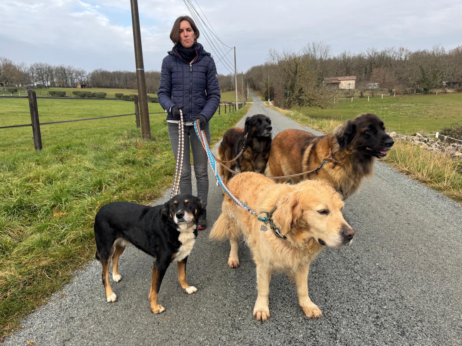 Aux Truffes Joyeuses — photo