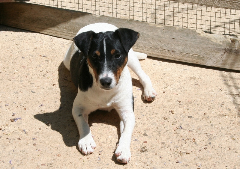 Pooh Korner Pension Familiale — photo