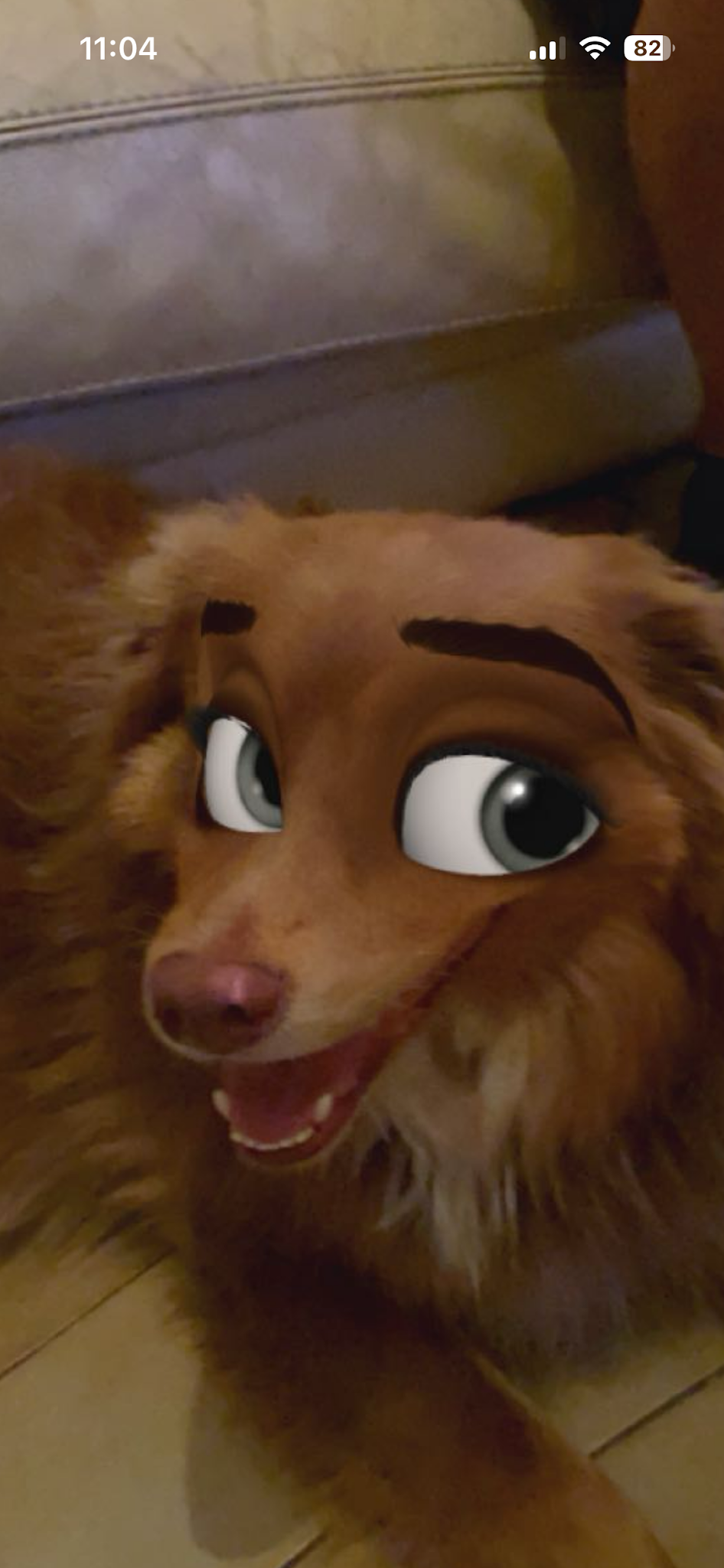 FUNNY DOGGY — photo