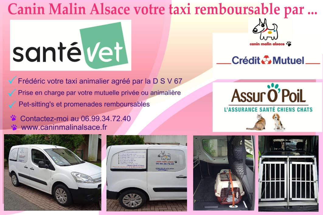 Canin Malin Alsace - taxi animalier chiens chats & nacs, pet sitting Bas Rhin 67 — photo