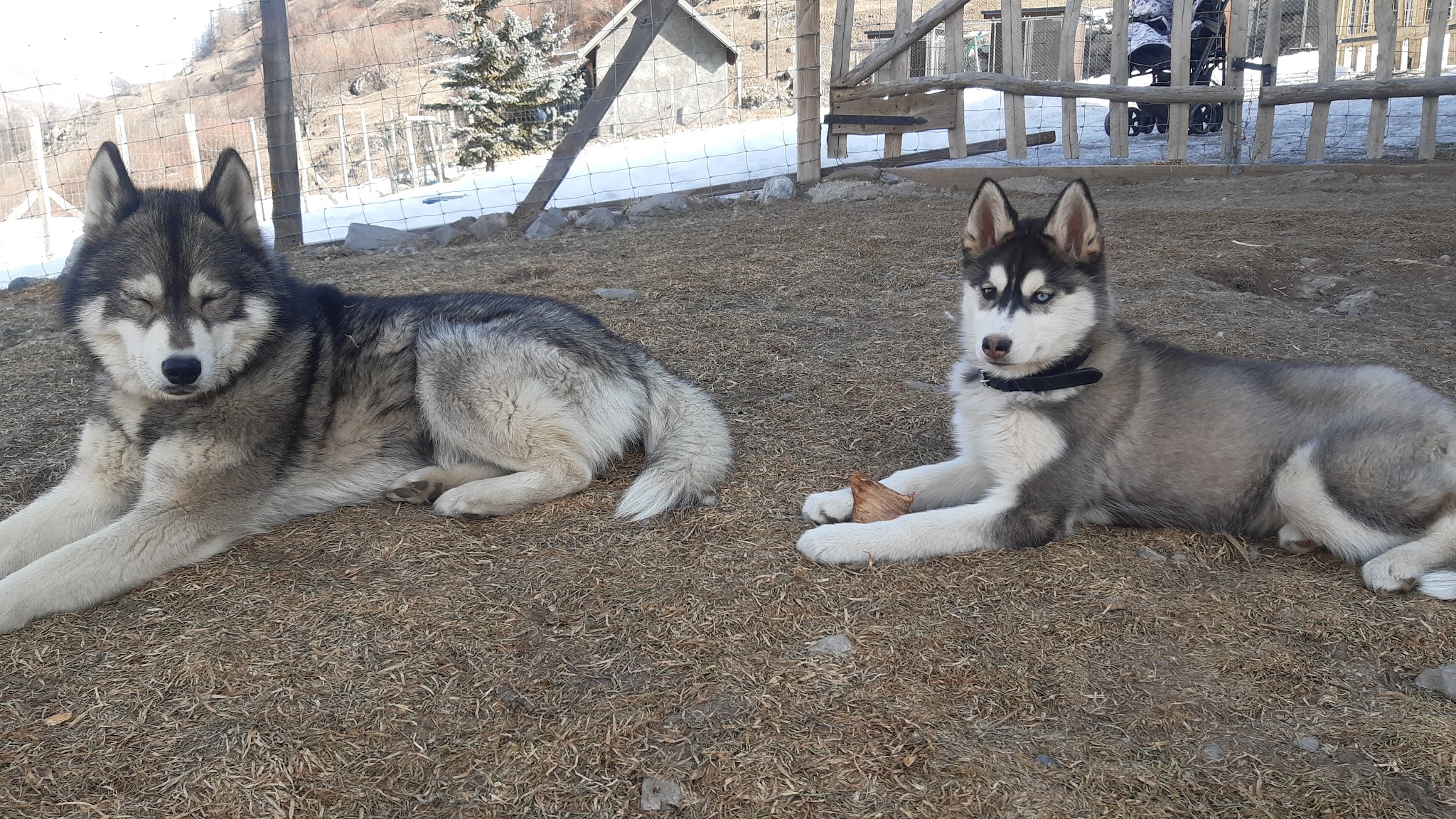 You ski en terre happy — photo