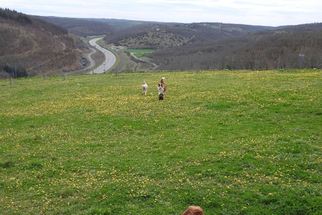 Des Perles du Quercy SARL — photo