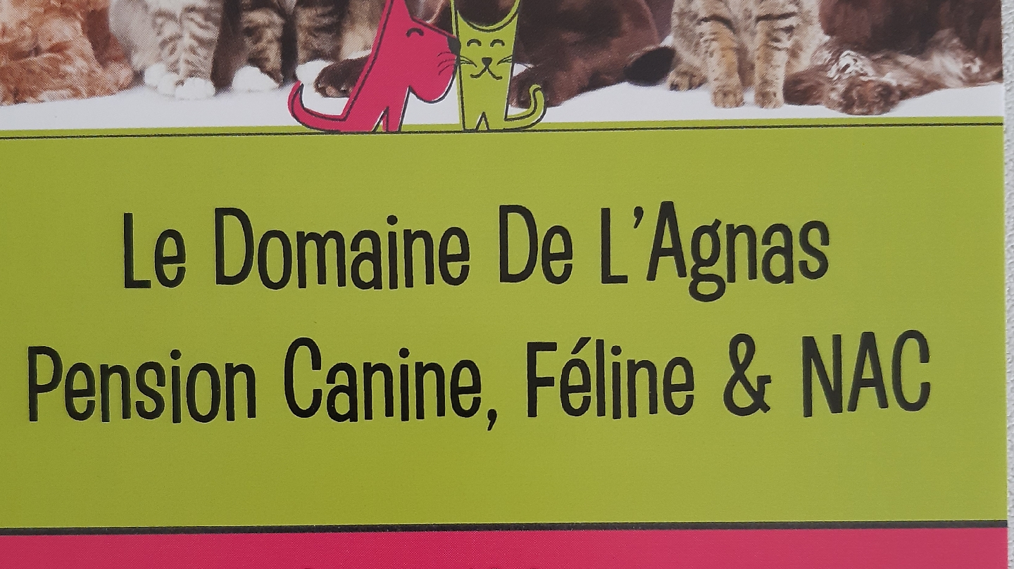Pension Le Domaine De L'Agnas — photo
