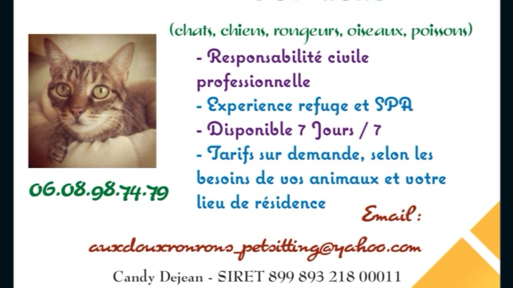 Aux Doux Ronrons — photo