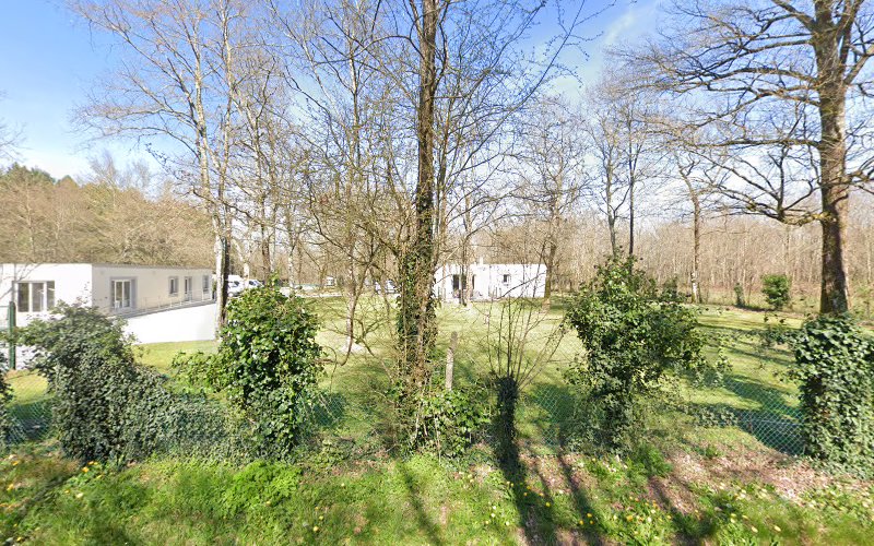 Chenil de la Forêt