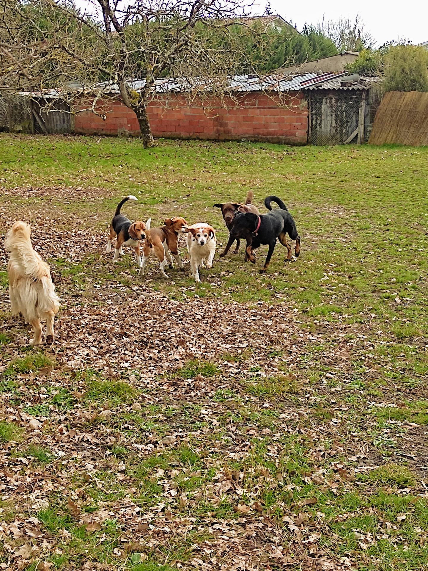 A Pas De Loup — photo