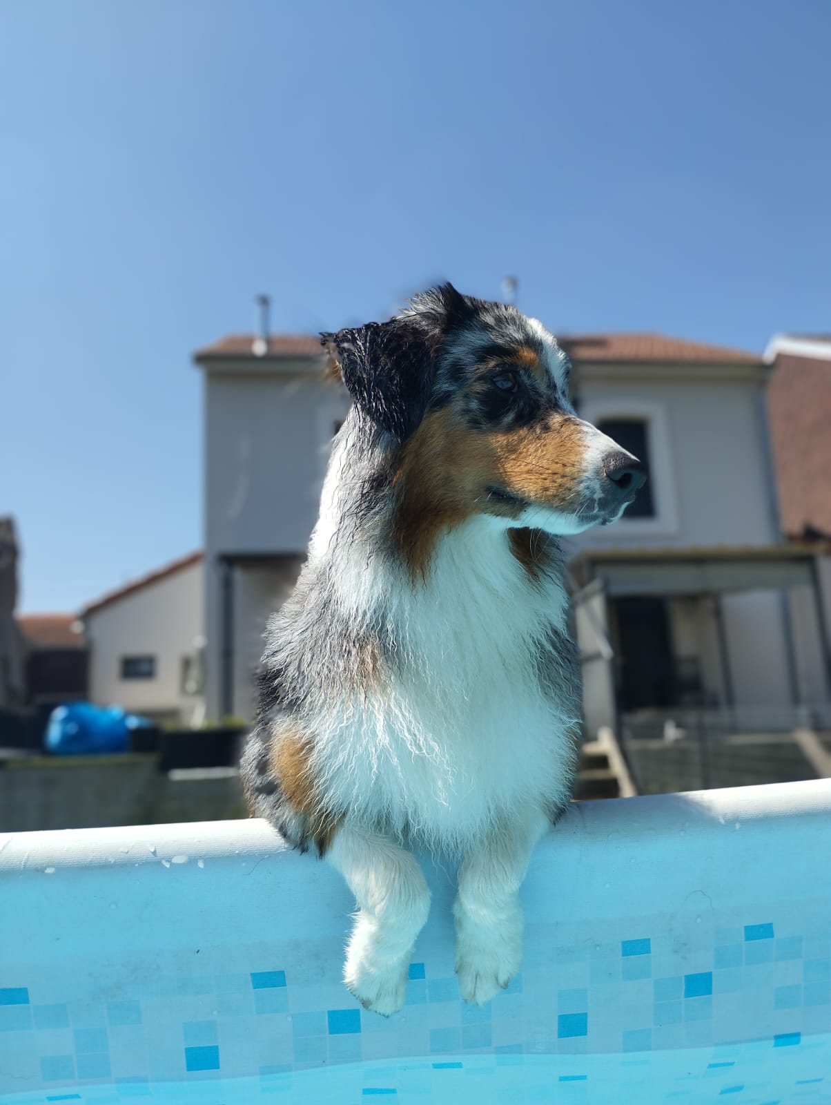 Petsitter "Lumaly and friends" — photo