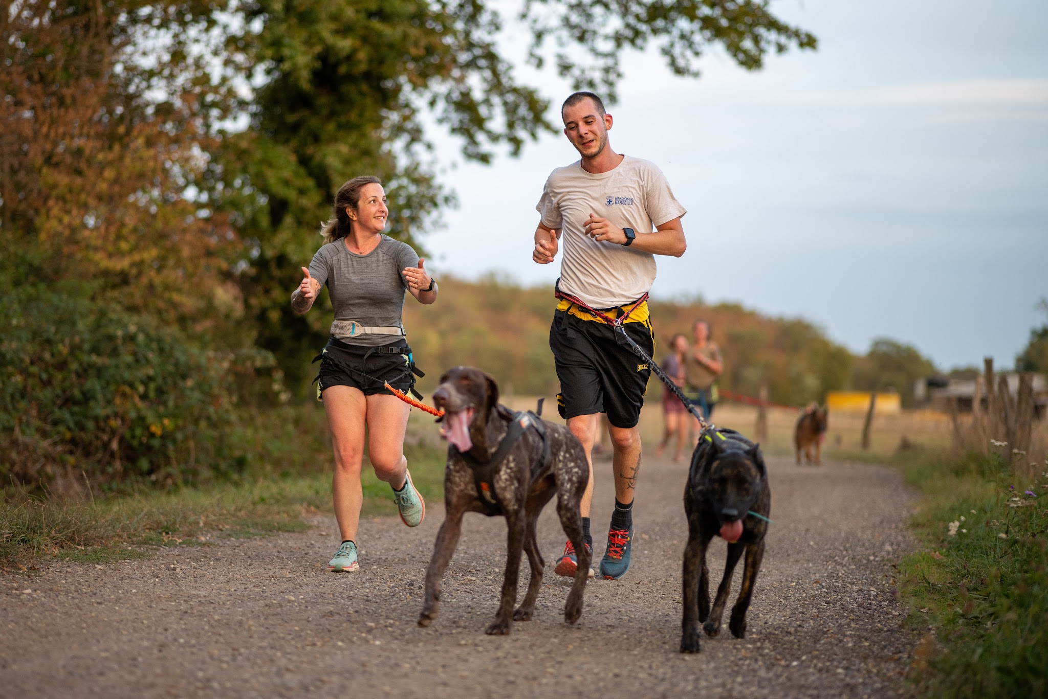 Les vacances le chien d'une vie — photo