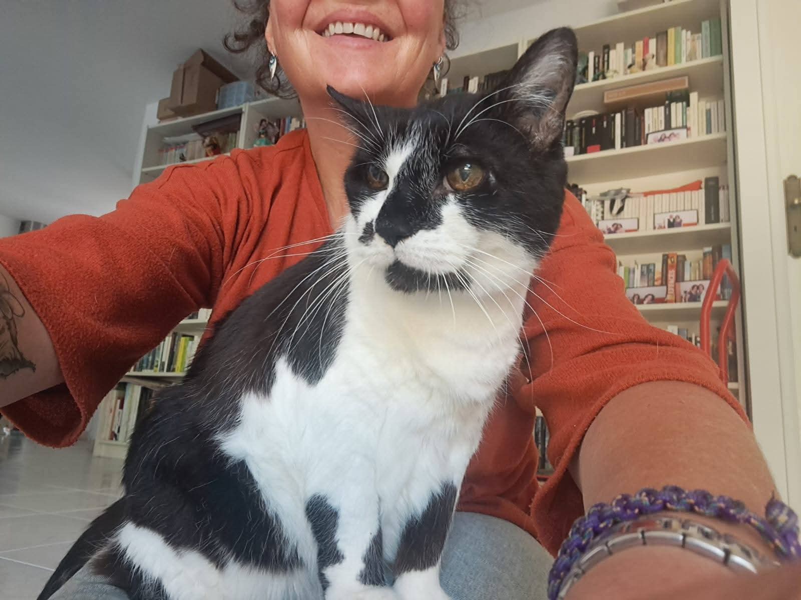 Entre Mes Mains - Garde chats, Communication Animale, Comportement félin et canin,Reiki, EFT,