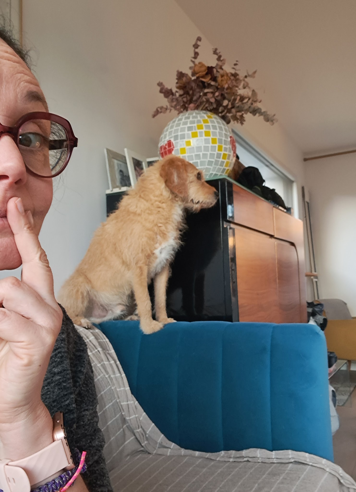 Entre Mes Mains - Garde chats, Communication Animale, Comportement félin et canin,Reiki, EFT, — photo