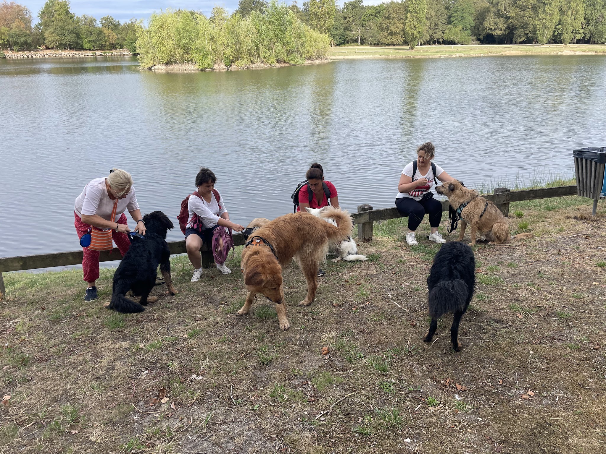 EDUCOPOIL33 EDUCATEUR CANIN COMPORTEMENTALISTE — photo