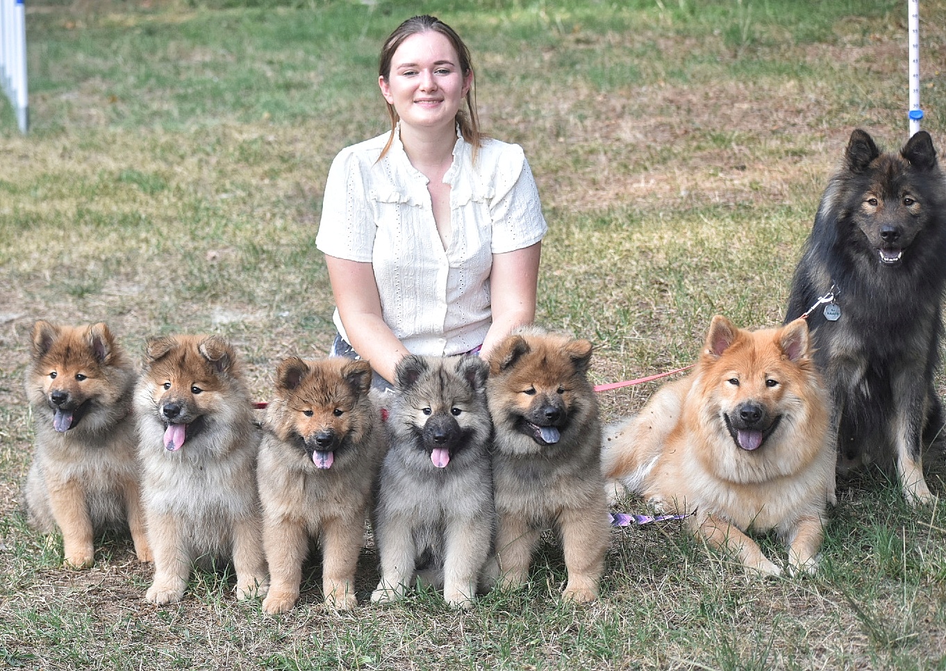 Des Diamants De L'Océan | Élevage familial Eurasier | Pet Sitter/Pension canine familiale — photo