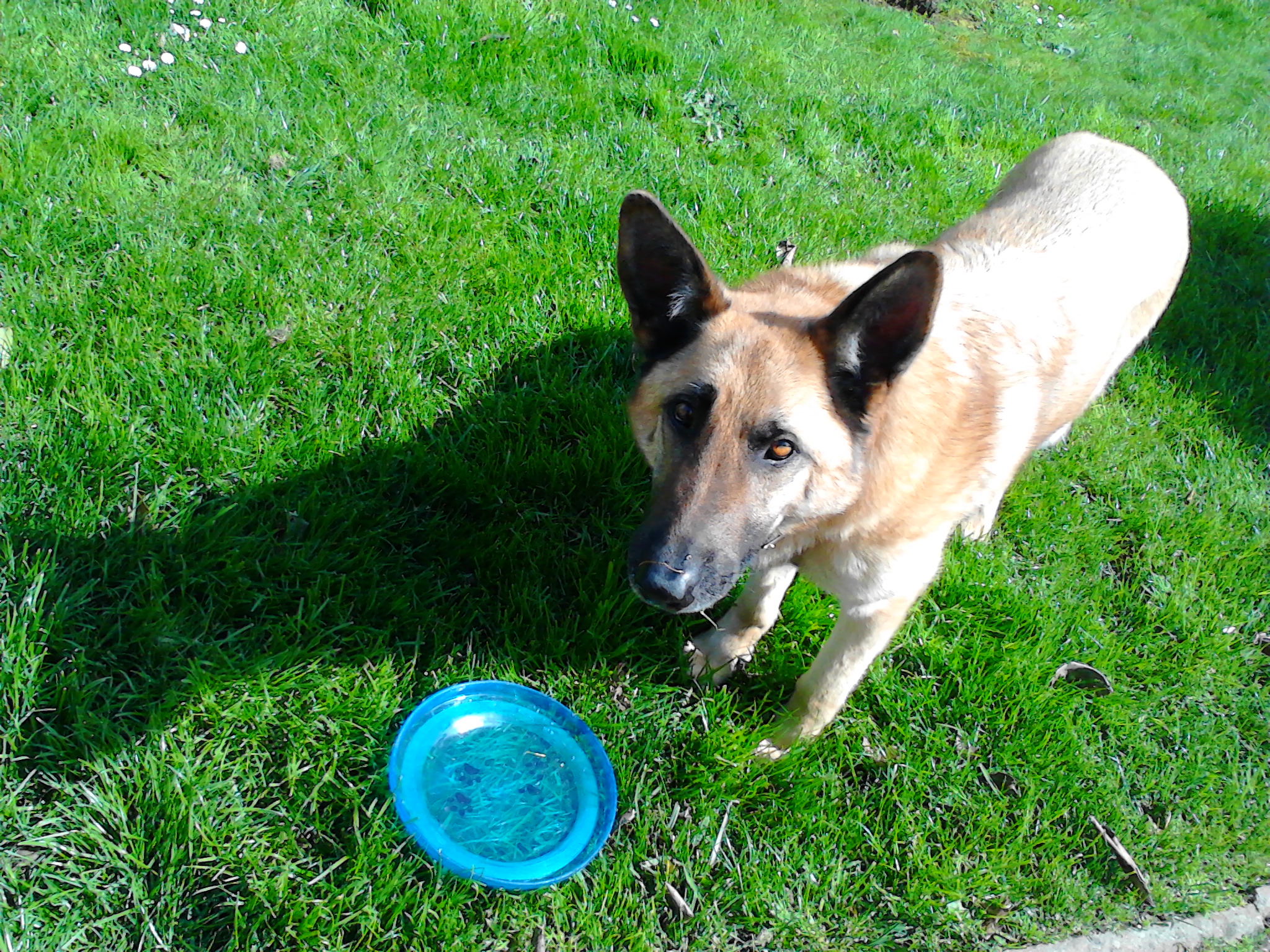 Nanny Dög — photo