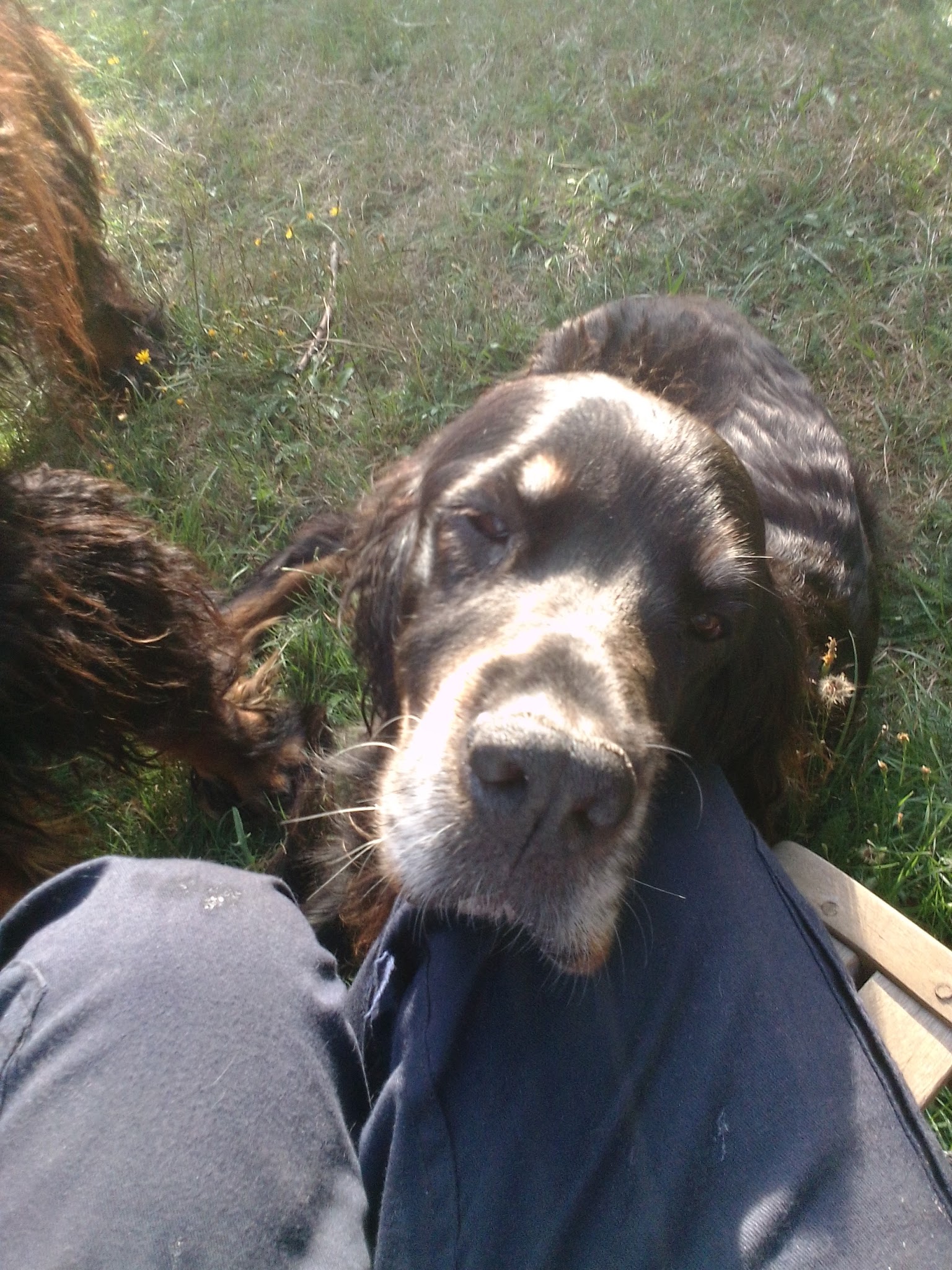 Nanny Dög — photo