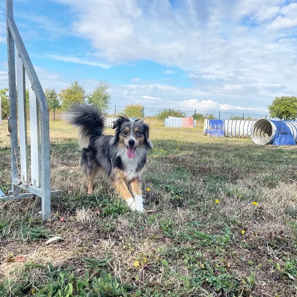 Domaine Bonheur Canin — photo