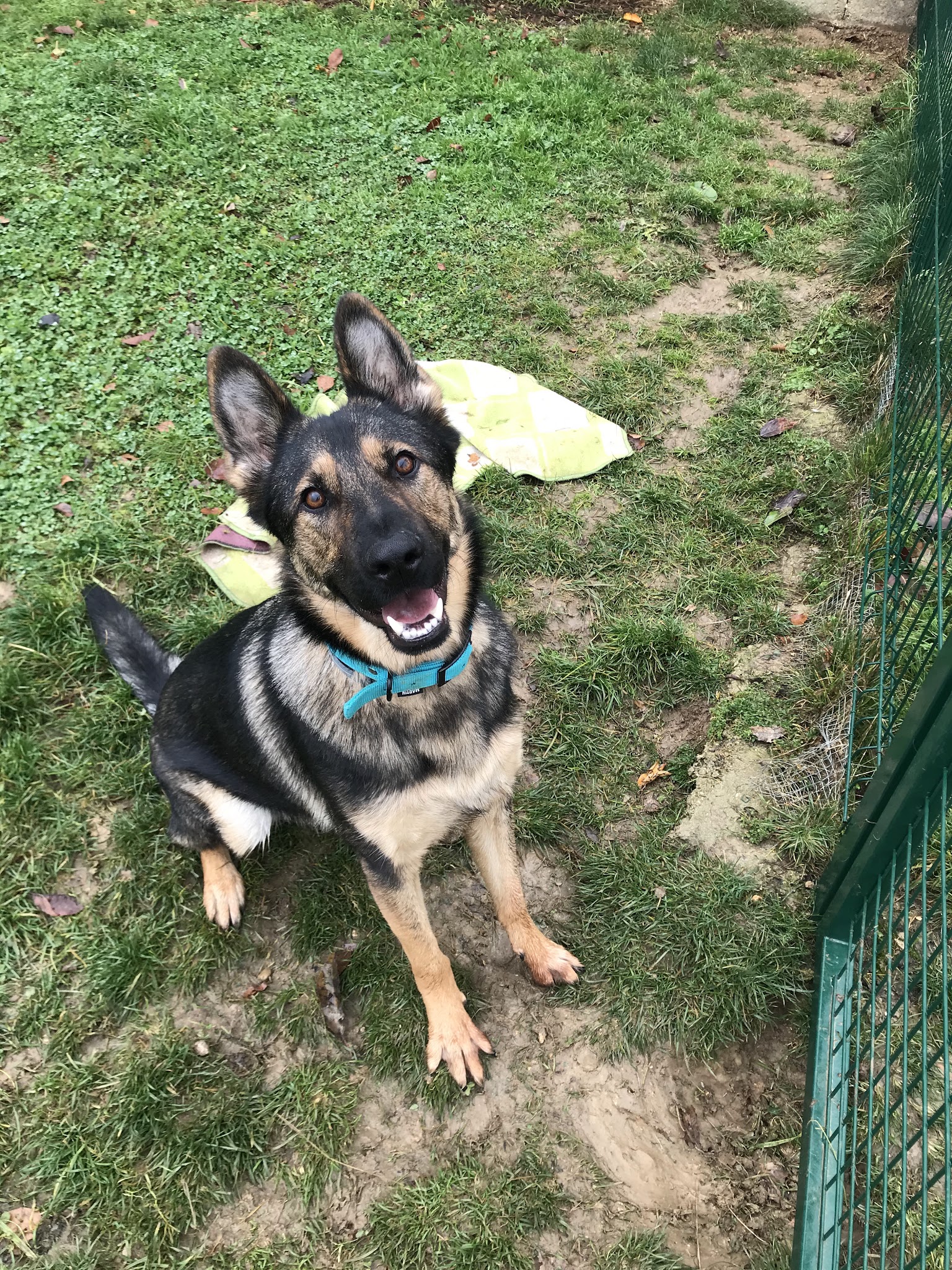 Domaine Bonheur Canin — photo