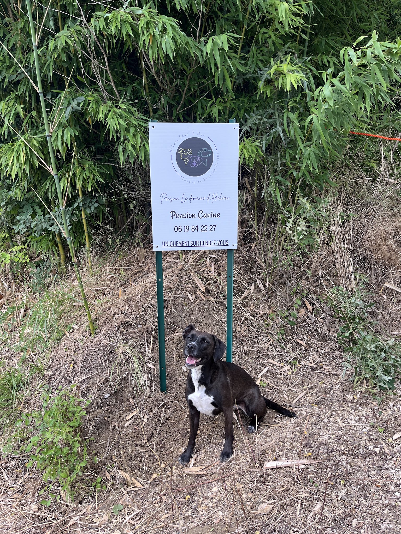 Le Domaine d’Hokera - Pension Canine Hokera Educ’&Moi — photo