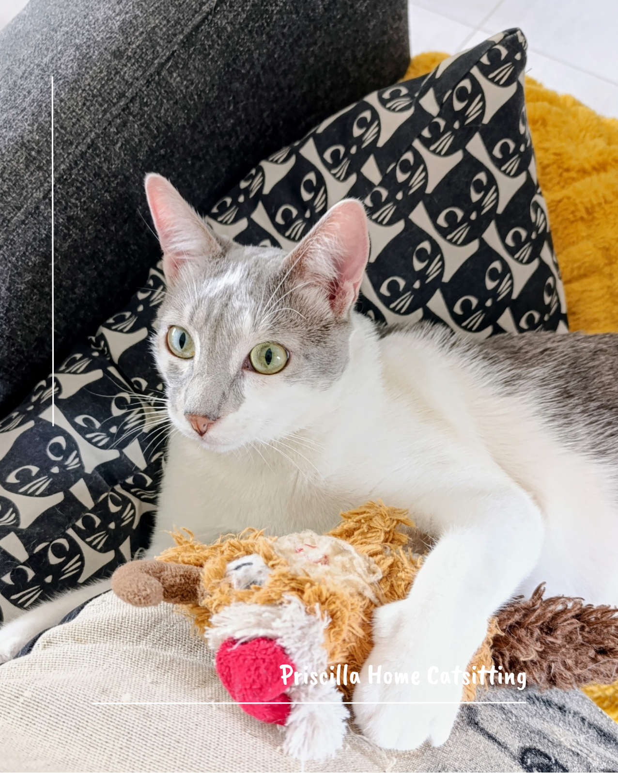 Priscilla Home Catsitting & Sage comme un orage — photo