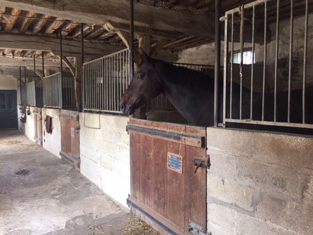 La Ferme du Grand Logis — photo