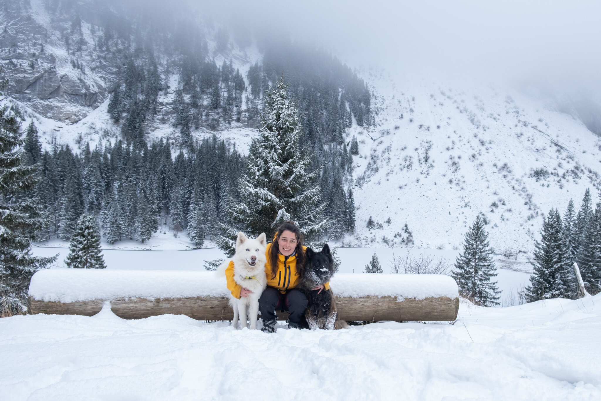 Eläin Pet sitting | Haute-Savoie — photo