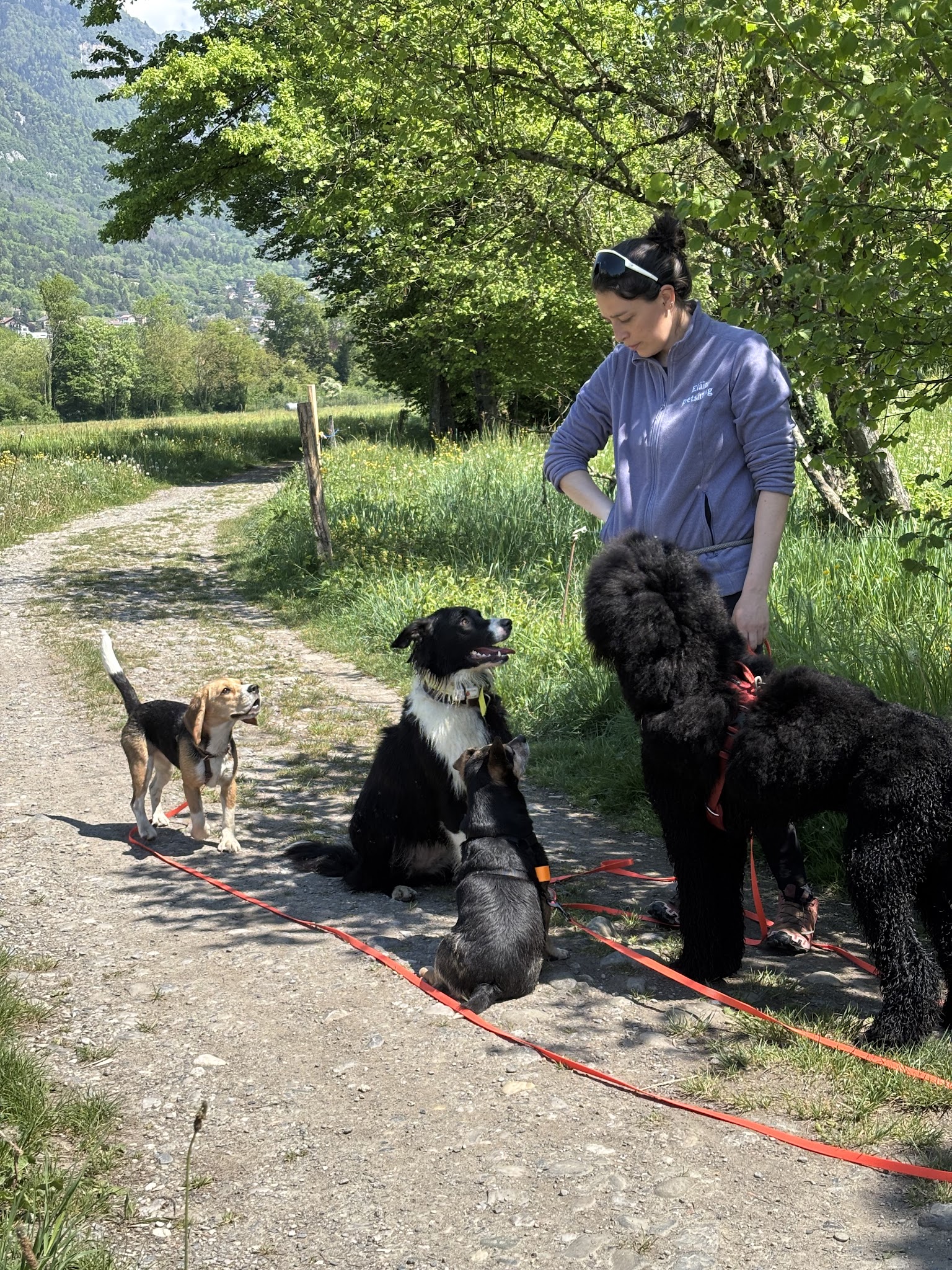 Eläin Pet sitting | Haute-Savoie