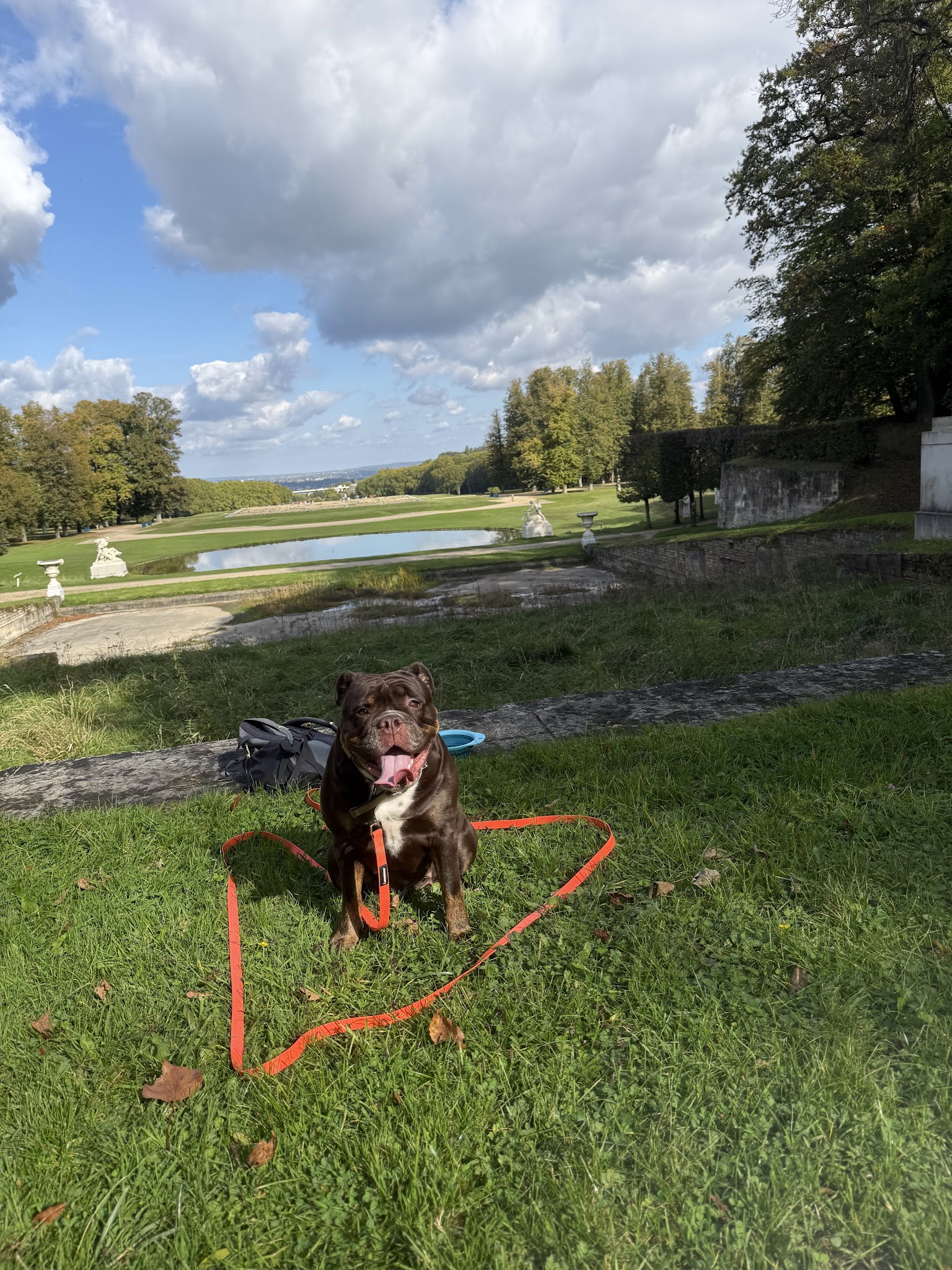 My Dog Education - Educateur canin 78 — photo