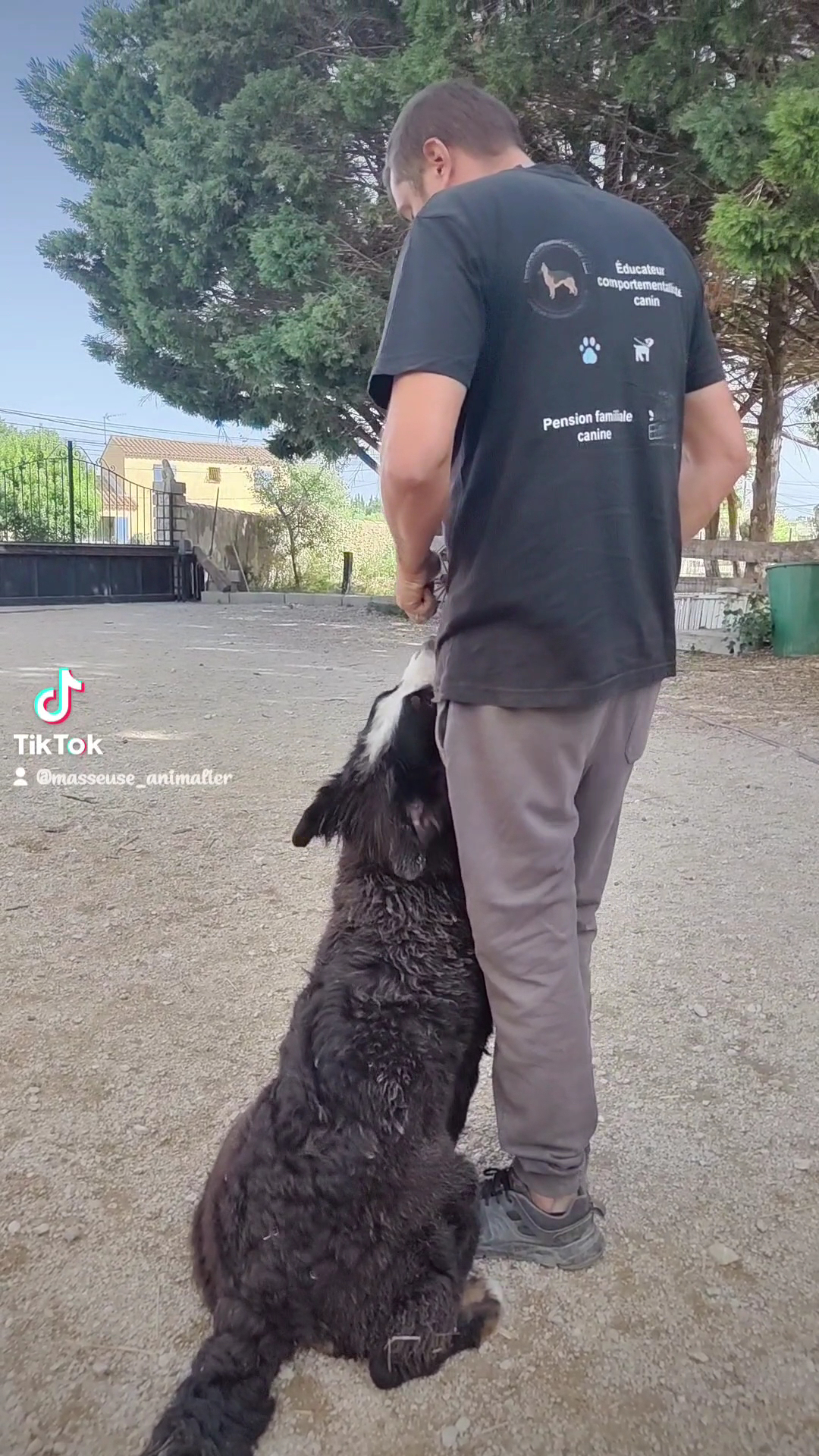 Help Educanine — photo