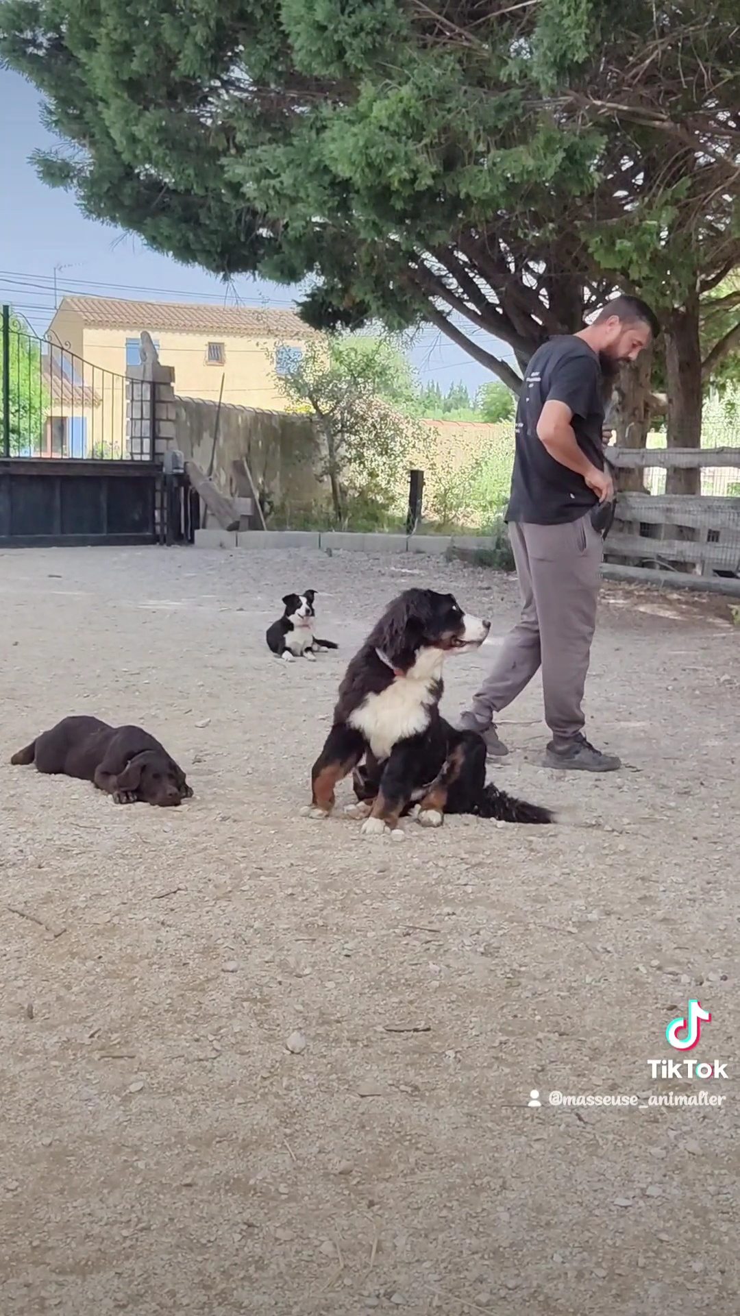 Help Educanine — photo